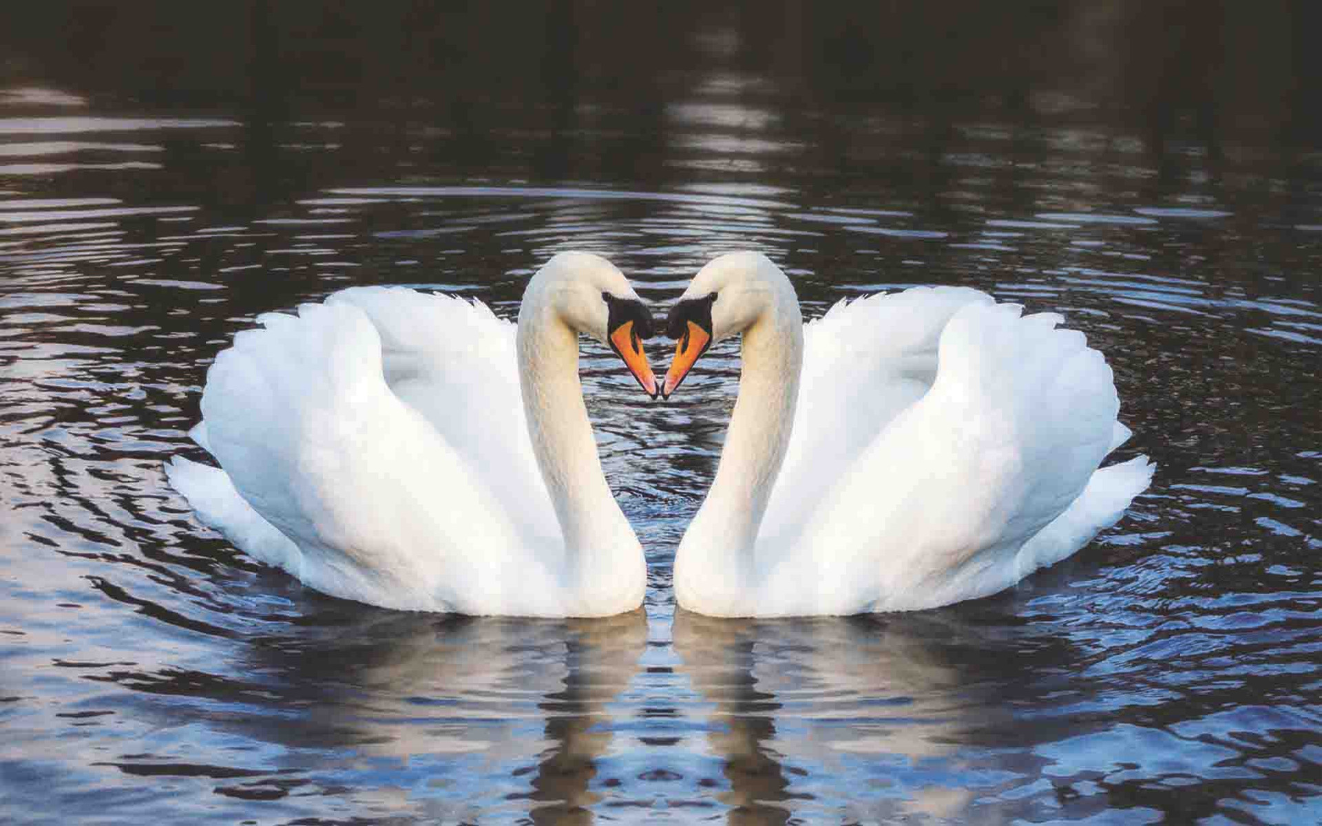 Knowledge of God (Ma‘rifa)